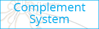 Complement System Pathway
