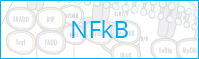 NFKB Pathway