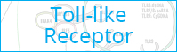 Toll-Like Receptor Pathway